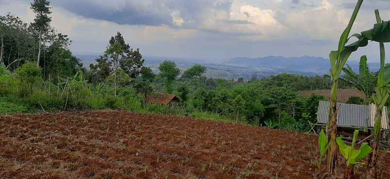 jual tanah murah di soreang