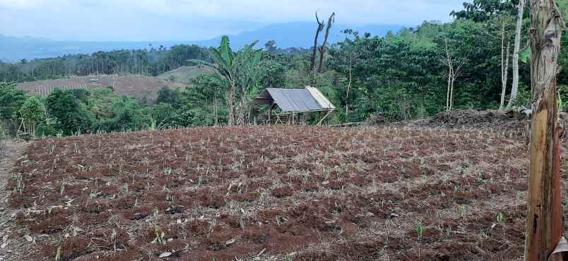 jual tanah murah di soreang