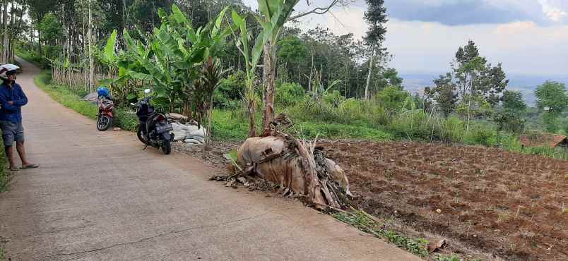 jual tanah murah di soreang