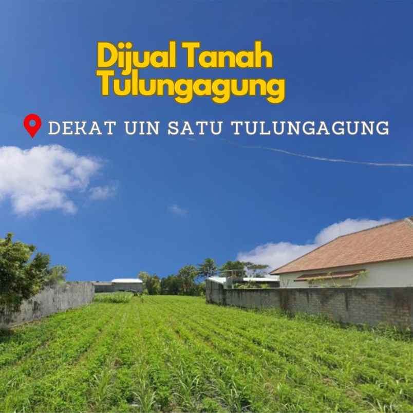 jual tanah siap bangun tulungagung area pemukiman shm