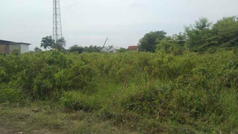 kavling strategis dekat pasar dan jalan pantura patrol