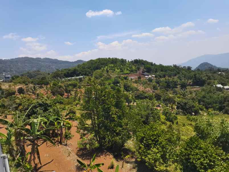 kebun buah2an di cibeber leuwiliang bogor barat