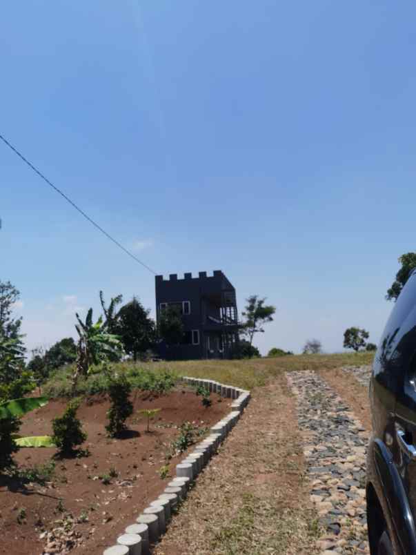 kebun buah2an di cibeber leuwiliang bogor barat