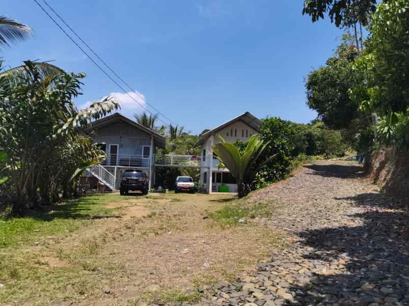 kebun buah2an di cibeber leuwiliang bogor barat