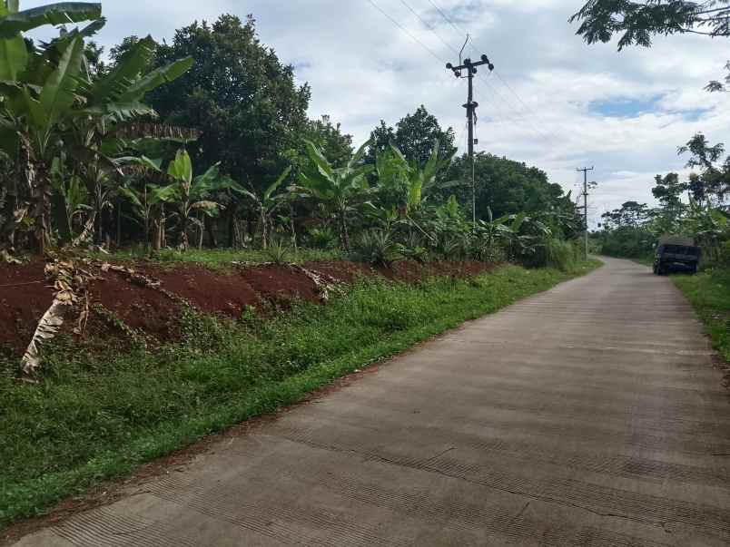 kebun produktif rambutan durian kalijati subang