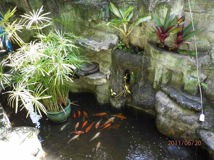 rumah asri di pasirlayung padasuka cicaheum