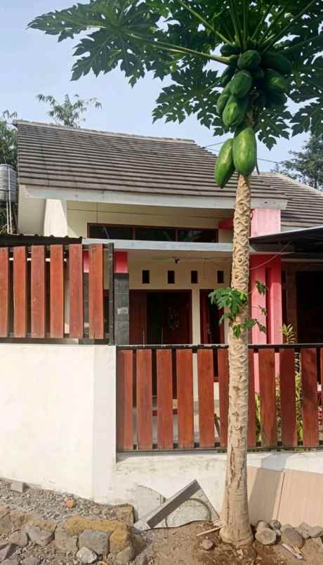 rumah idaman di pendowoharjo sleman yogyakarta