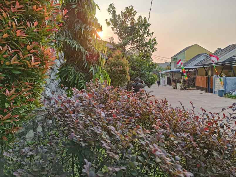 rumah jl teluk langsa