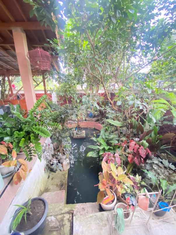 rumah joglo dekat kampus uii yogyakarta