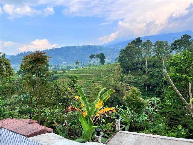 rumah kemuning ngargoyoso