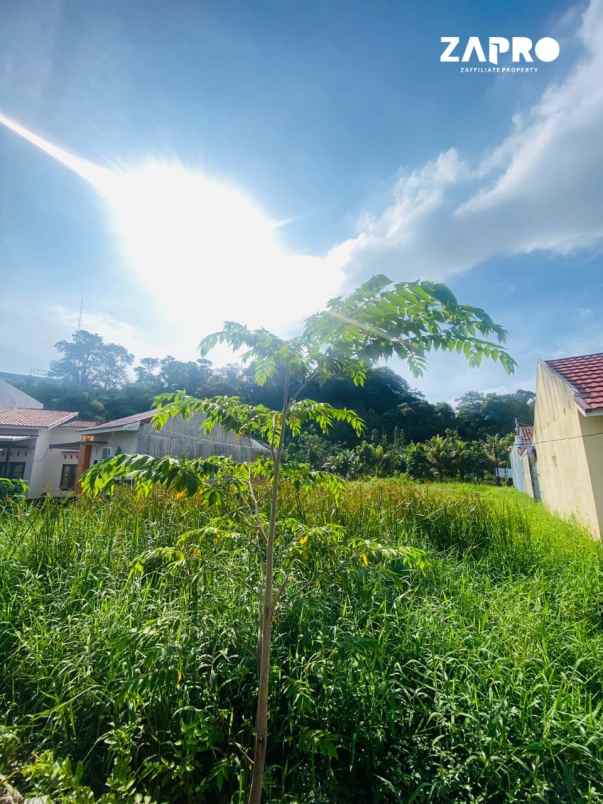 rumah pesan bangun minimalis modern di gunung pangilun