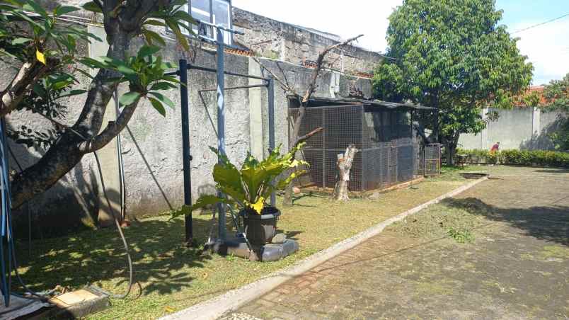 rumah siap huni 10 kamar tidur tanah baru beji depok