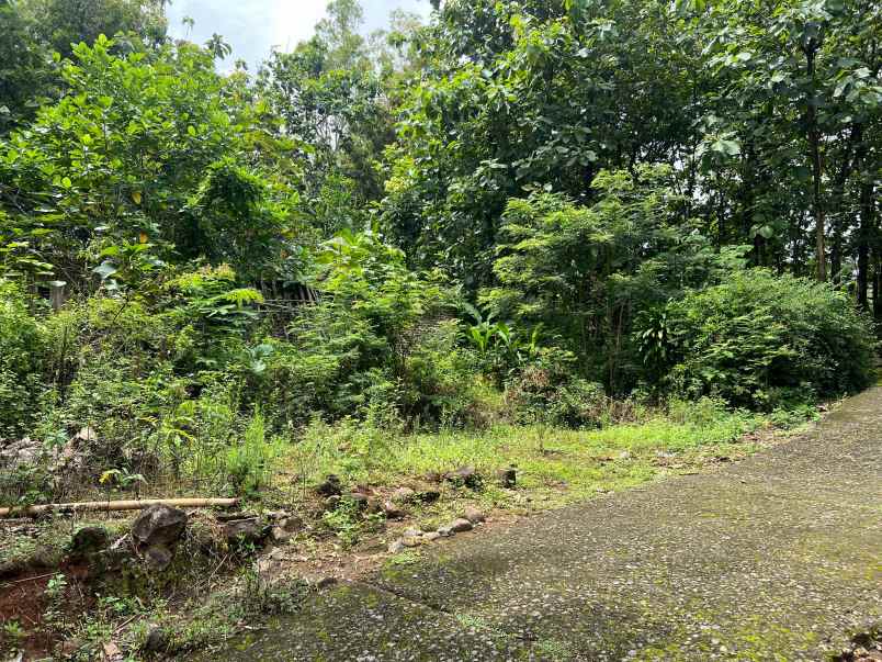 tanah 125 juta cocok investasi kebun buah karanganyar