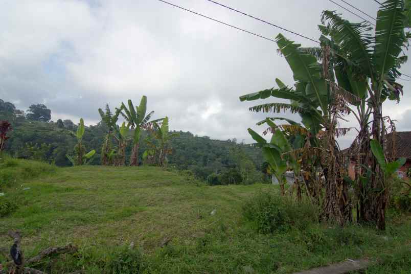 tanah 32 5 are pinggir jalan provinsi