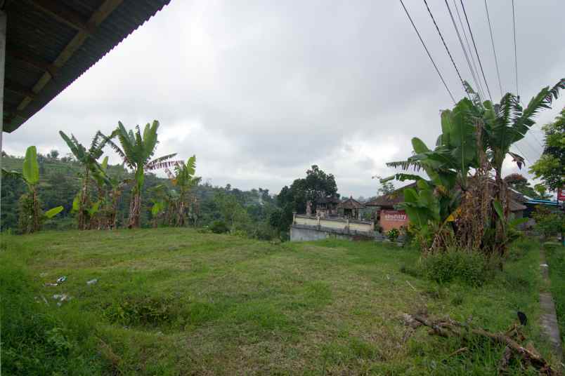 tanah 32 5 are pinggir jalan provinsi