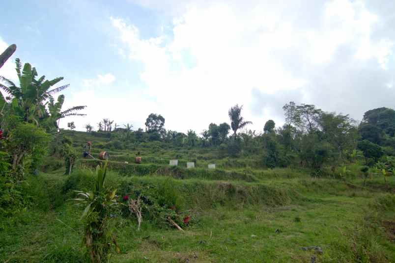 tanah 32 5 are pinggir jalan provinsi