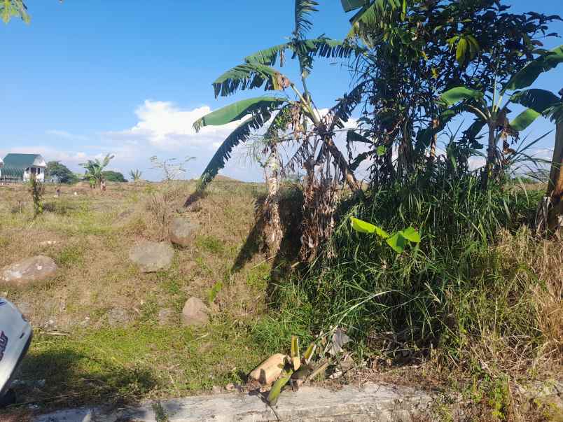 tanah bagus di kawasan wisata