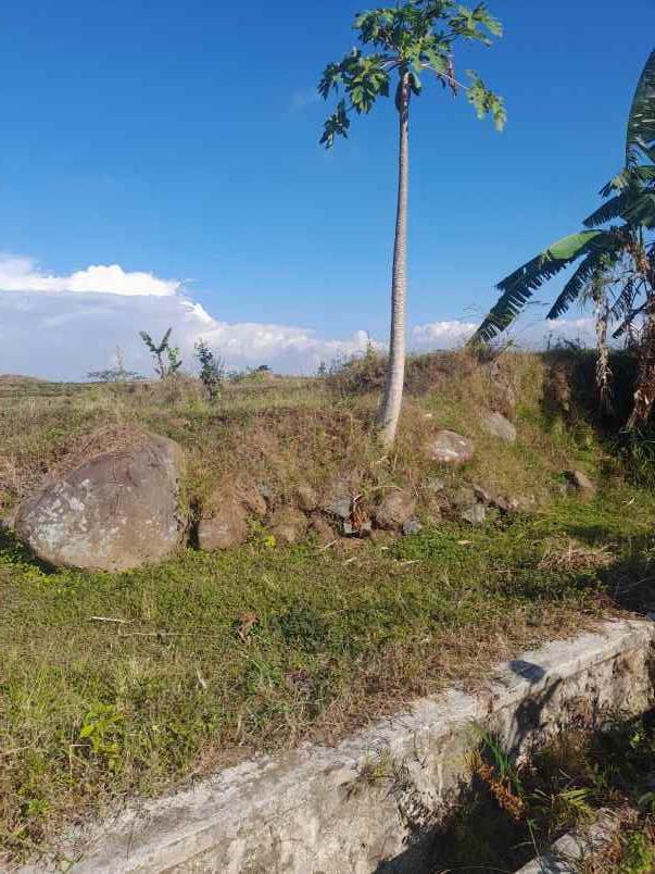 tanah bagus di kawasan wisata