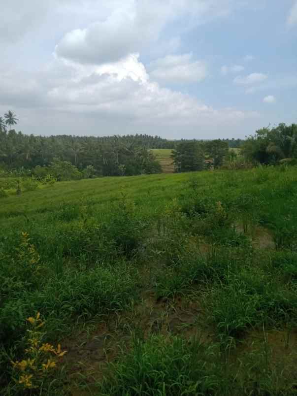 tanah bajera selemadeg tabanan bali