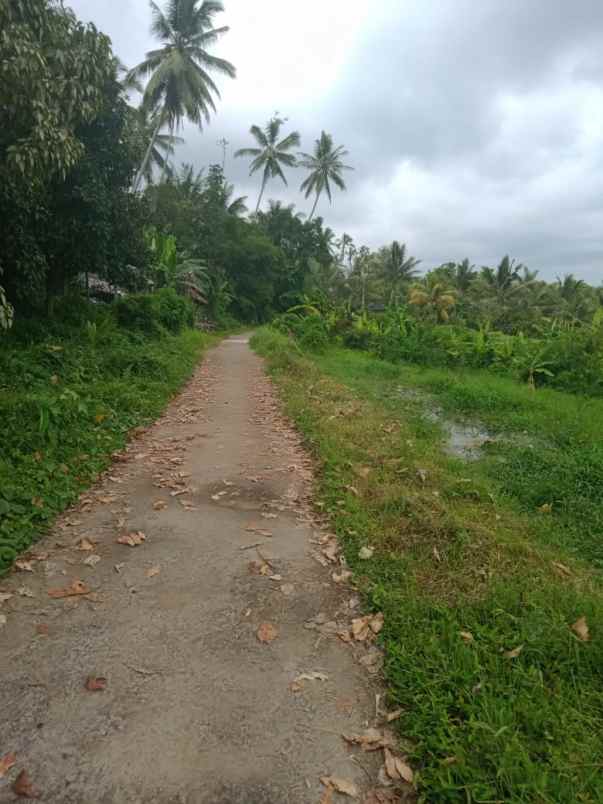 tanah bajera selemadeg tabanan bali