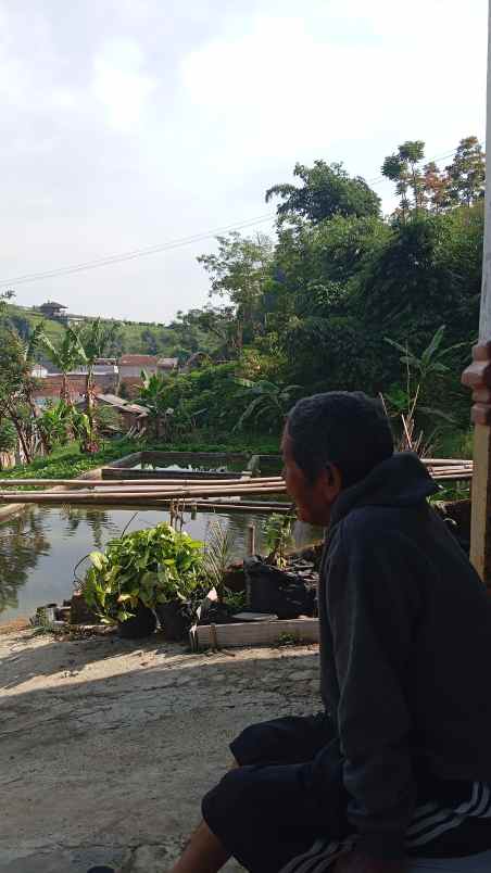 tanah dan balong dijual lokasi lembang