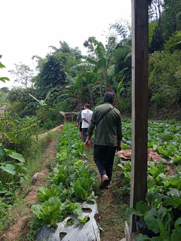 tanah dan balong dijual lokasi lembang