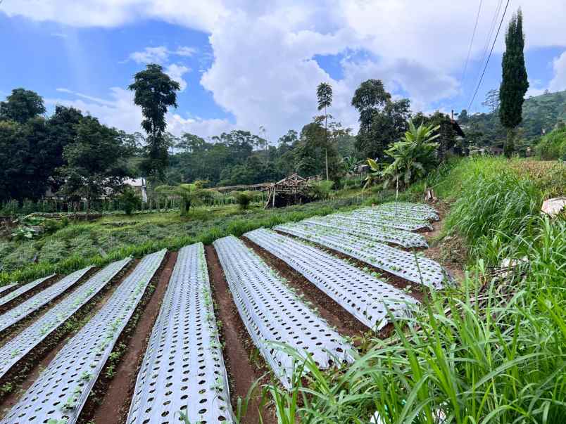 tanah datar 878m kawasan villa kemuning