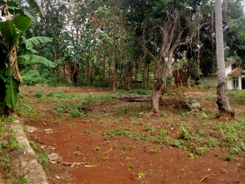 tanah di langkapura luas 1524m