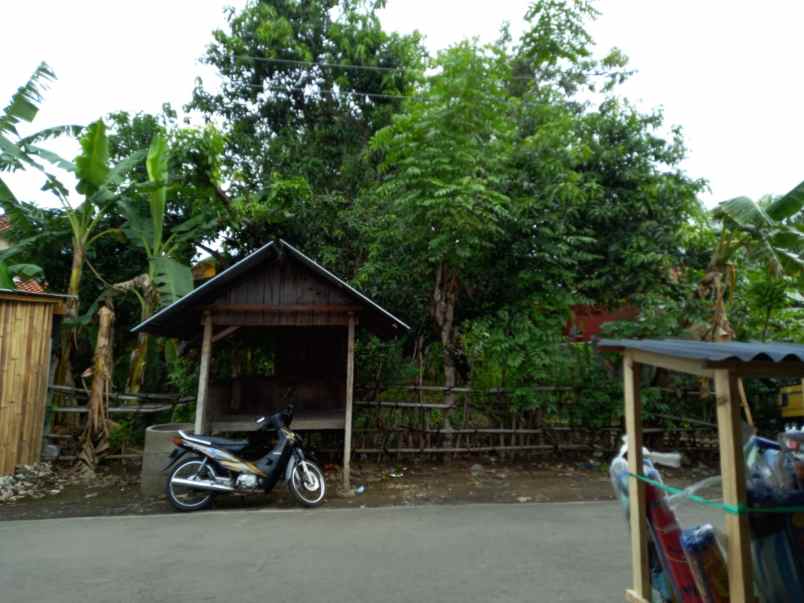 tanah di paduraksa 974 m2