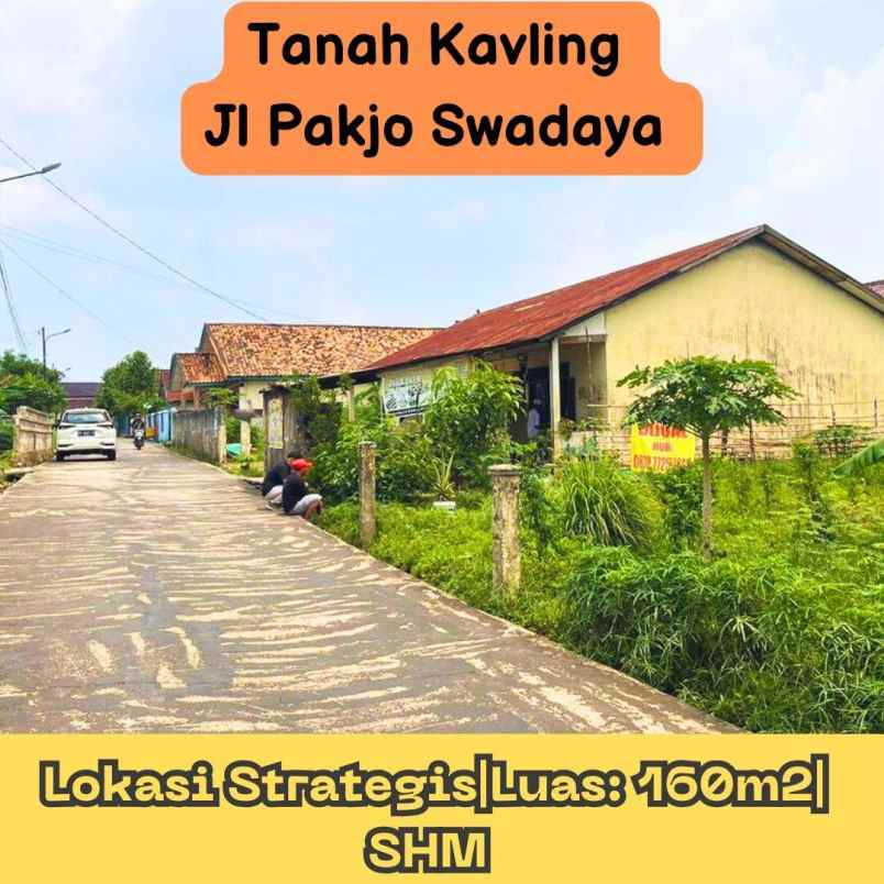 tanah dijual murah pakjo swadaya