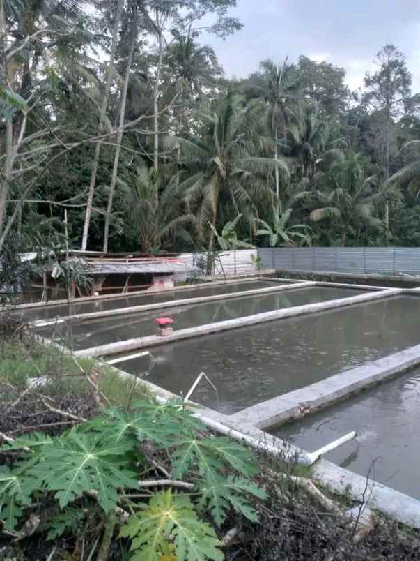 tanah jln cidahu cimara