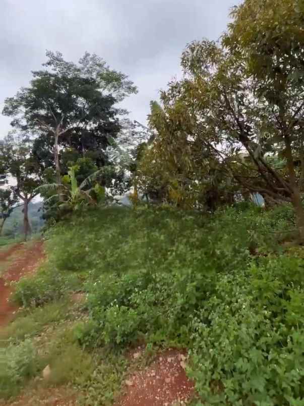 tanah kavling murah pwoll di unnes gunungpati