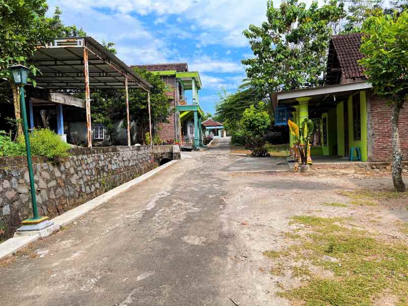 tanah kebun jati 250 juta mojogedang karanganyar