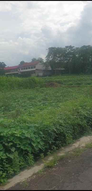 tanah kebun strategis view gunung