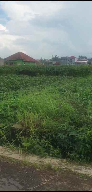 tanah kebun strategis view gunung