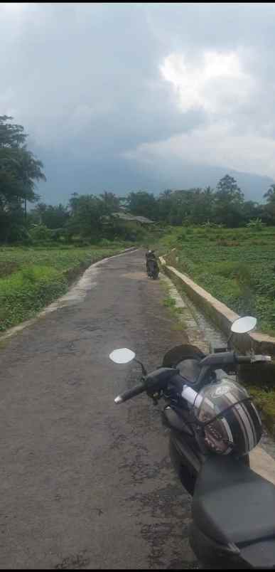 tanah kebun strategis view gunung