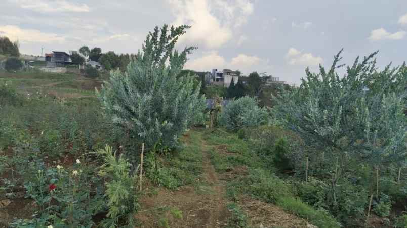 tanah kebun subur harga istimewa di bumiaji kota batu