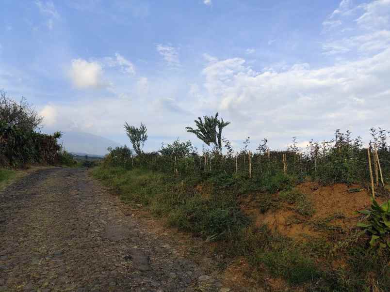 tanah kebun subur harga istimewa di bumiaji kota batu