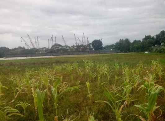 tanah komersil 5 hektar cileungsi bogor