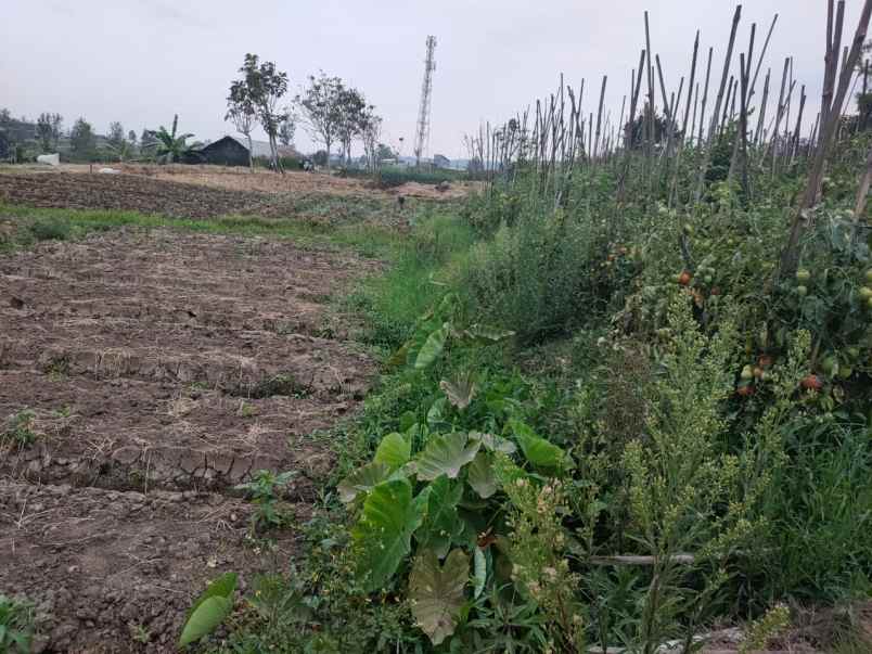 tanah luas murah subur di sumberejo kota batu