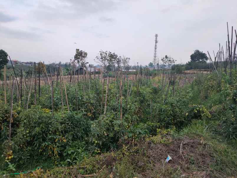 tanah luas murah subur di sumberejo kota batu