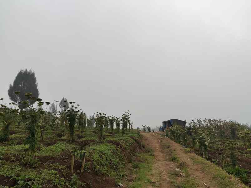 tanah luas super murah di brakseng cangar kota batu