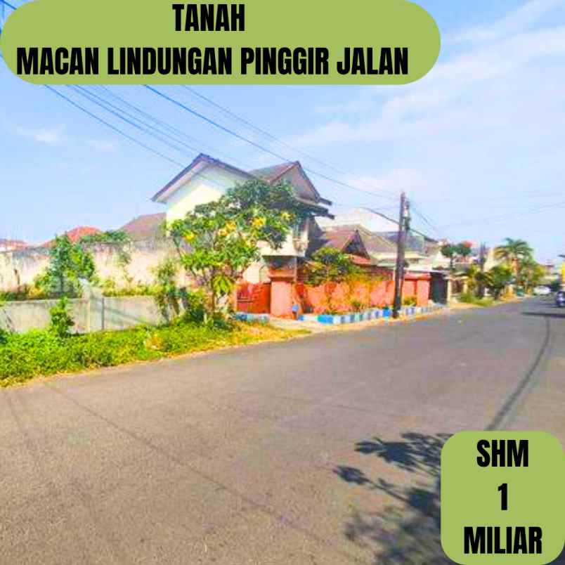 tanah macan lindungan pinggir kota palembang