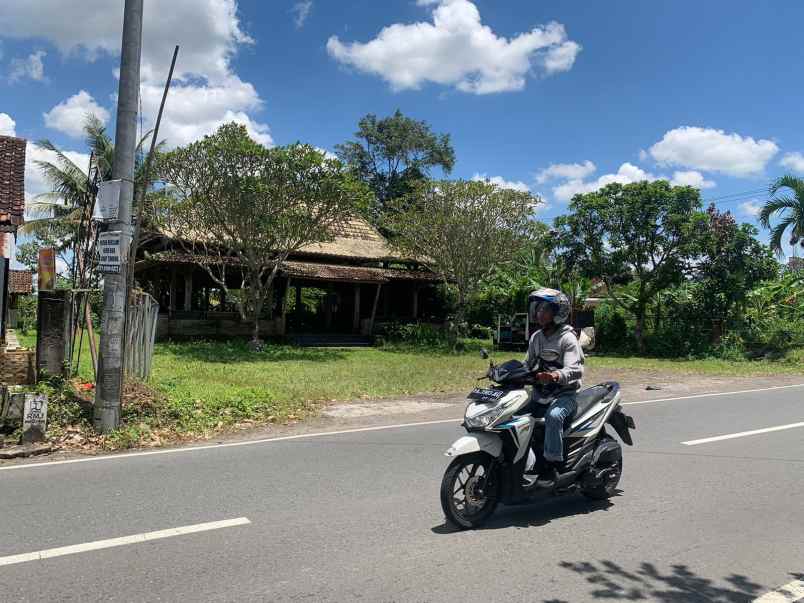 tanah mangku jalan raya cocok bangun usaha area sleman