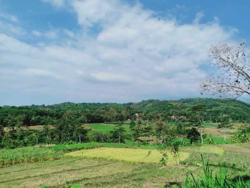 tanah matesih karanganyar