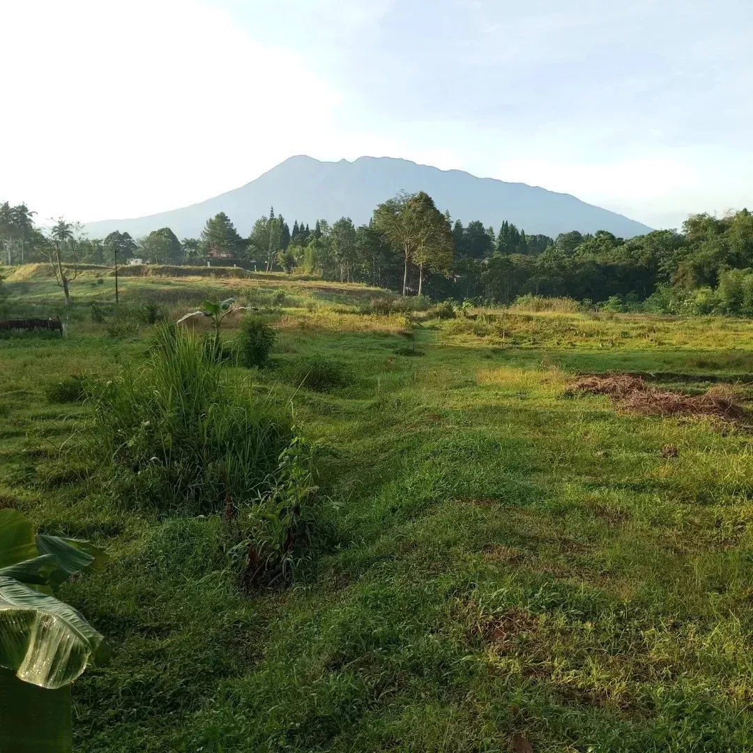 tanah megamendung puncak bogor