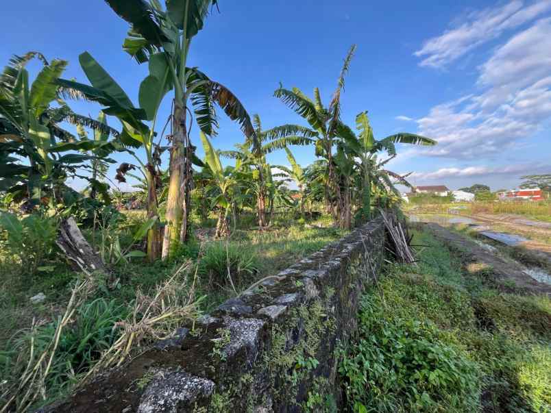 tanah murah dalam perumahan nogotirto dijual cepat