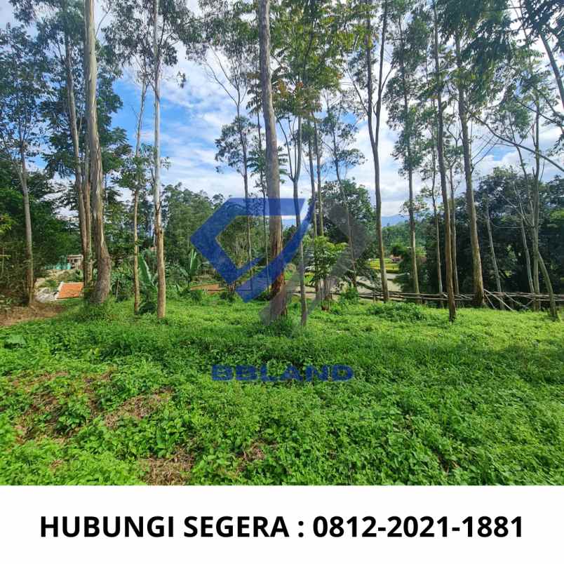 tanah murah di ciwidey cocok untuk villa dan glamping