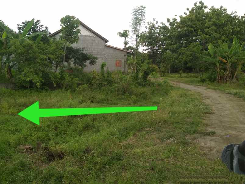 tanah murah shm 70 jt dijual cepat kalijambe sragen