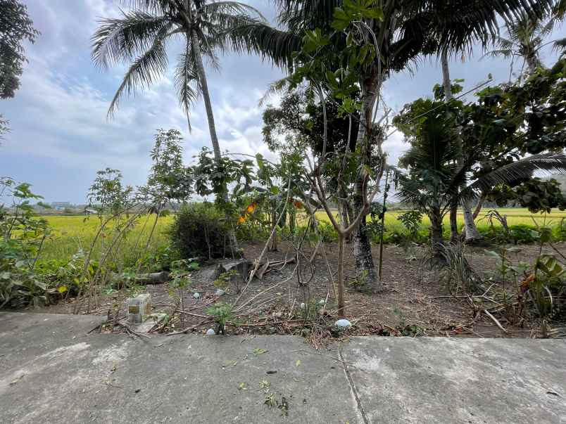 tanah murah temon kulonprogo depan bandara yia